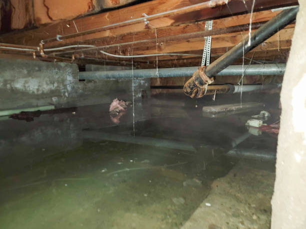 Best Fire Damage Restoration  in Mission, SD