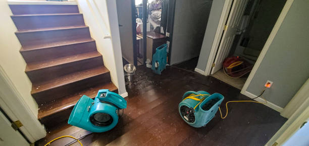 Reliable Mission, SD Water damage restoration Solutions