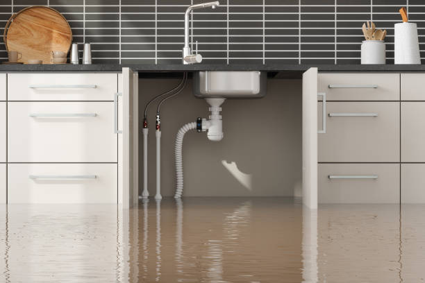 Best Local water damage restoration  in Mission, SD