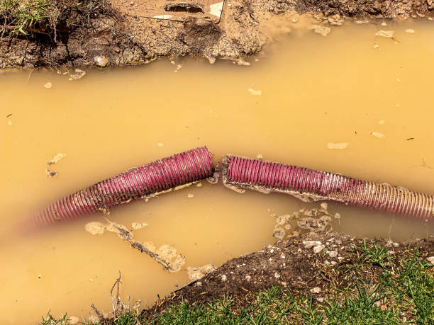 Best Basement water damage restoration  in Mission, SD