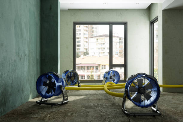 Best 24-hour water damage restoration  in Mission, SD