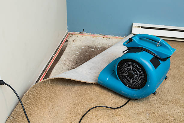 Best Commercial water damage restoration  in Mission, SD